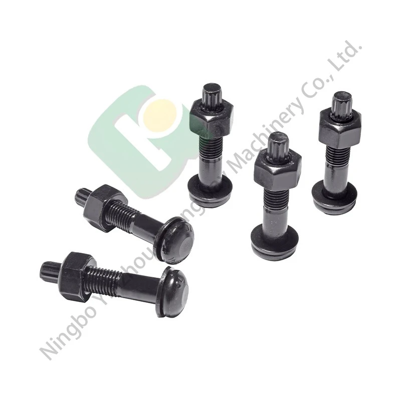 Cold-forged Nuts (5)